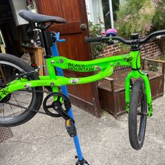 Black Mountain Skog kid bike