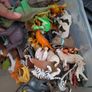 Bulk of animals Image 2