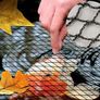 Anti Bird protection netting Image 5