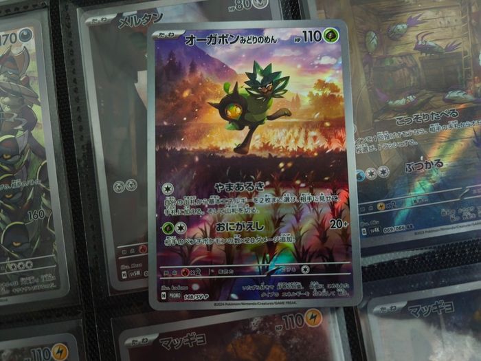 Teal Mask Ogerpon !  Scarlet & Violet Promo ! 2024 ! Japaense Pokemon Card !