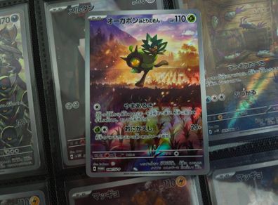 Teal Mask Ogerpon !  Scarlet & Violet Promo ! 2024 ! Japaense Pokemon Card !