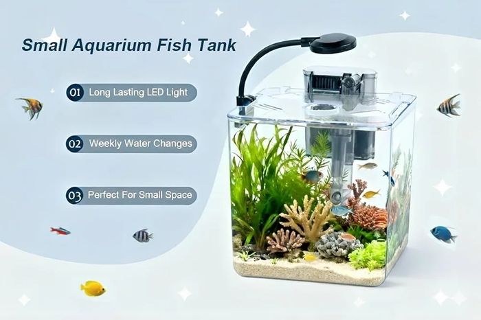 13L Starter Fish Tank Kit, 25  25  22CM Mini Plastic Aquarium with LED Light & USB Filter, DIY Aquascape for Small Betta Fish