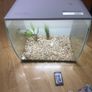 Fish tank Image 2
