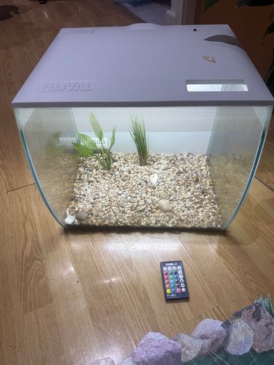 Fish tank