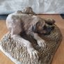 Sculpture of a boy sleeping with a dog Image 3