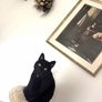cat Image 4