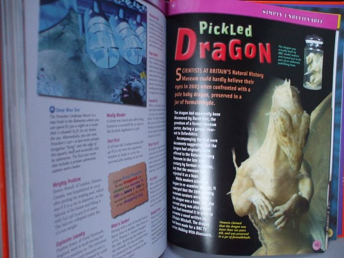 SALE! RIPLEY'S Believe It Or Not! - 2007 Expect ...The Unexpected