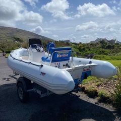 5m hypalon Rib. (NO ENGINE)