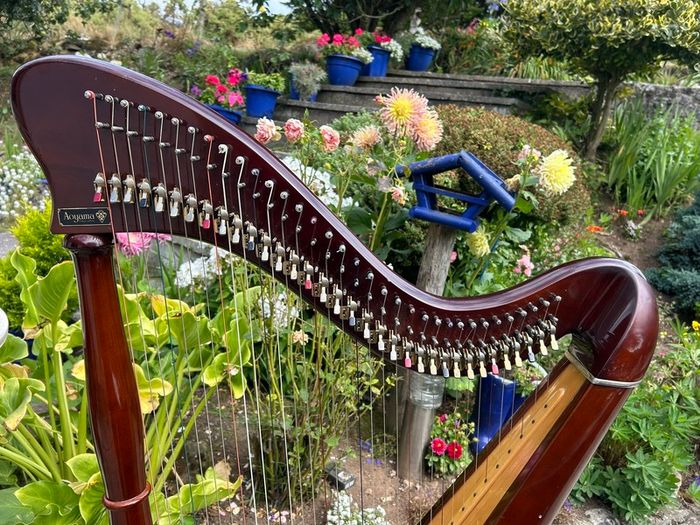 Aoyama 34 String Lever Harp