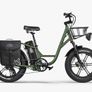 FIIDO T1 pro v2 upgraded Cargo Electric Bike Image 2