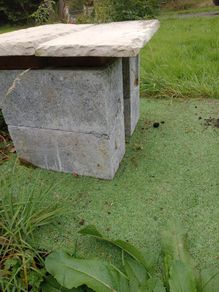 Concrete Building Blocks Paving Capping Stones Job Lot
