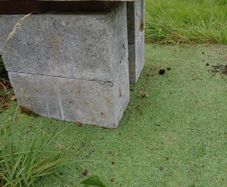 Concrete Building Blocks Paving Capping Stones Job Lot