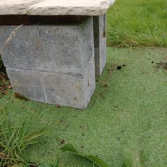 Concrete Building Blocks Paving Capping Stones Job Lot