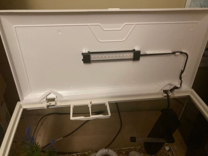 Fish tank