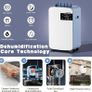 NEW SALE | 12L/D Dehumidifier for Home with Energy Efficient Compressor-HEPA Filter Air Purification, Continuous Drainage, 2.5L Tank, Timer, Sleep Mode, Auto Defrosting, Humidity Target, for Basement Laundry Image 2