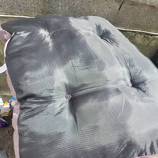 dog bed