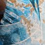 Seed bed shield protector kit Image 8