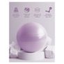 Pilates ball and baby nest Image 2