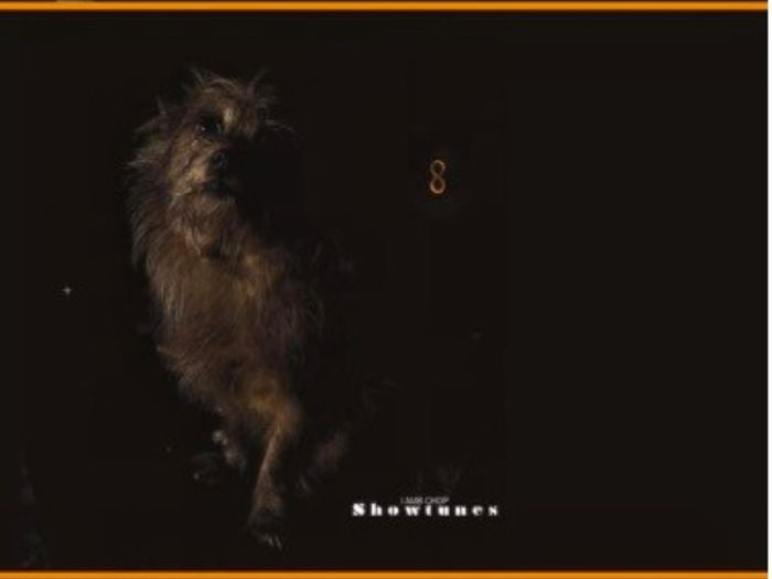 Lambchop - Showtunes Limited Edition COLOURED Vinyl LP