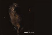 Lambchop - Showtunes Limited Edition COLOURED Vinyl LP