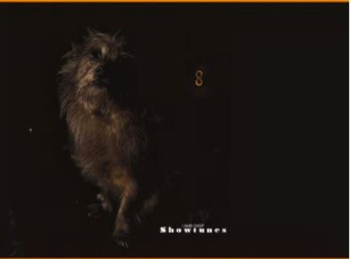 Lambchop - Showtunes Limited Edition COLOURED Vinyl LP