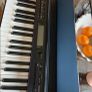Casio CDP S350 Digital Piano Image 3