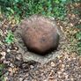 Terracotta Birdbath Image 2