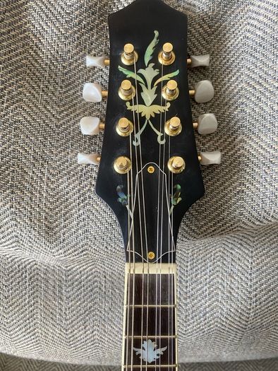 mandolin
