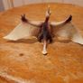 toy Image 2