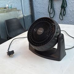 fan
