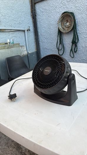 fan