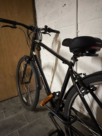 ridgeback bicycle