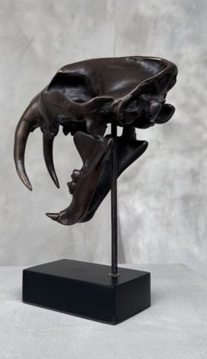 Sabre-Tooth Tiger (20cm) - Bronze, Signed