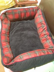 Cat bed