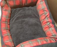 Cat bed