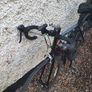 Racing bike Image 3