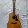 Guild GAD-40CENAT with original tweed hard case Image 2