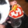 Rare Retired Ty Beanie Boos Paris the Panda 18cms 6" Plush Soft Toy and Gift Bag Image 8