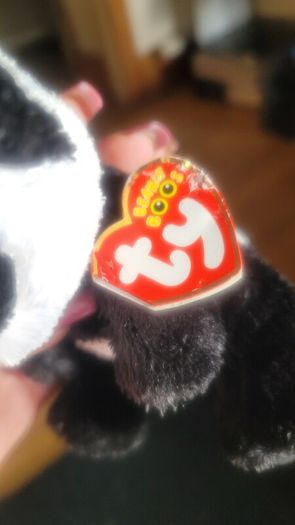 Rare Retired Ty Beanie Boos Paris the Panda 18cms 6" Plush Soft Toy and Gift Bag
