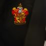 Harry Potter girls costume Image 3