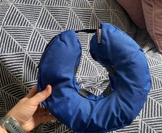BUSTER Inflatable Collar