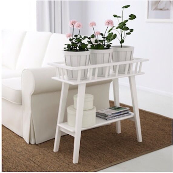 plant table