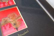 Original Signed Annabel Langrish Pressed Flower Collage Irish Art