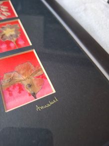 Original Signed Annabel Langrish Pressed Flower Collage Irish Art
