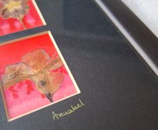 Original Signed Annabel Langrish Pressed Flower Collage Irish Art