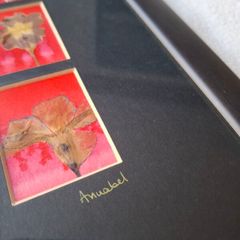 Original Signed Annabel Langrish Pressed Flower Collage Irish Art