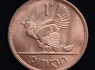 Ireland - 1968 - 1 Penny - Hen with Chicks - KM.11 - [272]