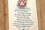 Pet Card