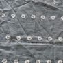 Lace Remnant Image 2