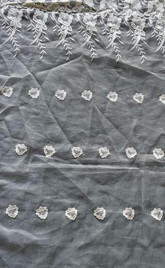 Lace Remnant